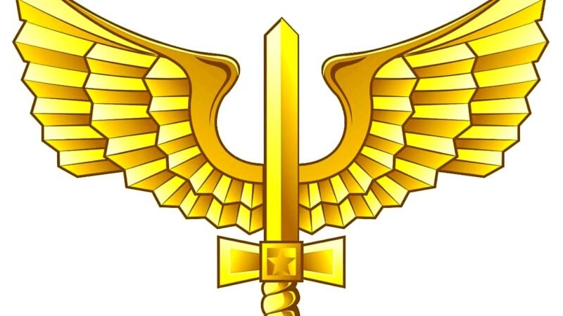 Gladio-Alado-da-Forca-Aerea-Brasileira