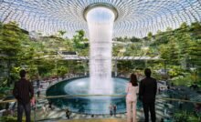 Aeroporto-de-Cingapura-com-uma-floresta-tropical-e-uma-cachoeira-dentro-do-terminal