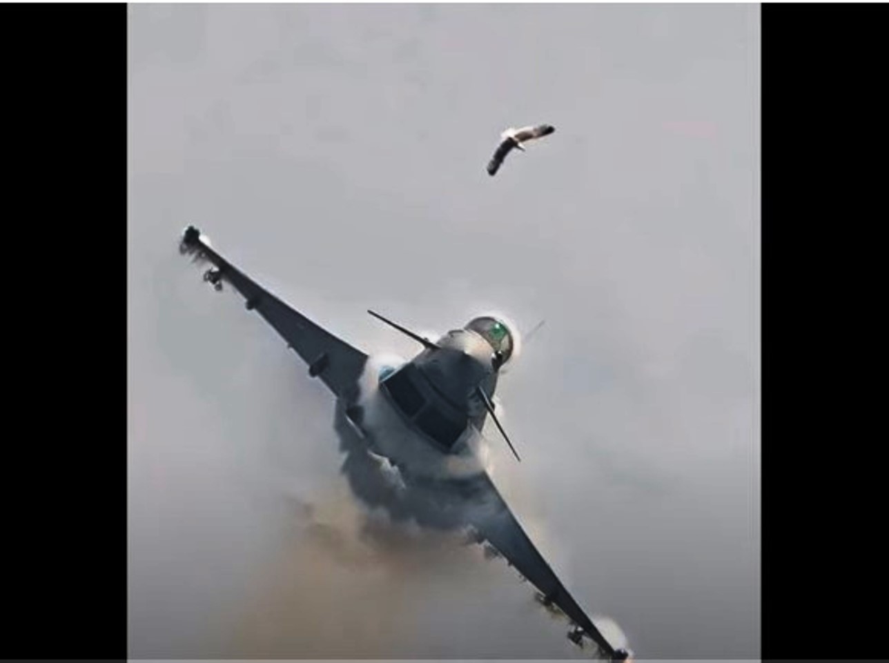 Aviao-Caca-Eurofighter-Typhoon-colide-com-Passaro-durante-demonstracao-na-Espanha