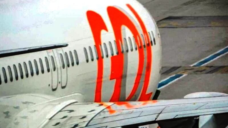 Aviao-da-GOL_Foto-Facebook-GOL