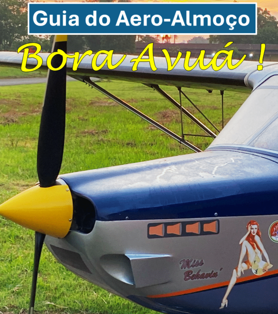 Guia do Aero Almoço Bora Avuá_Imagem Bora Avuá