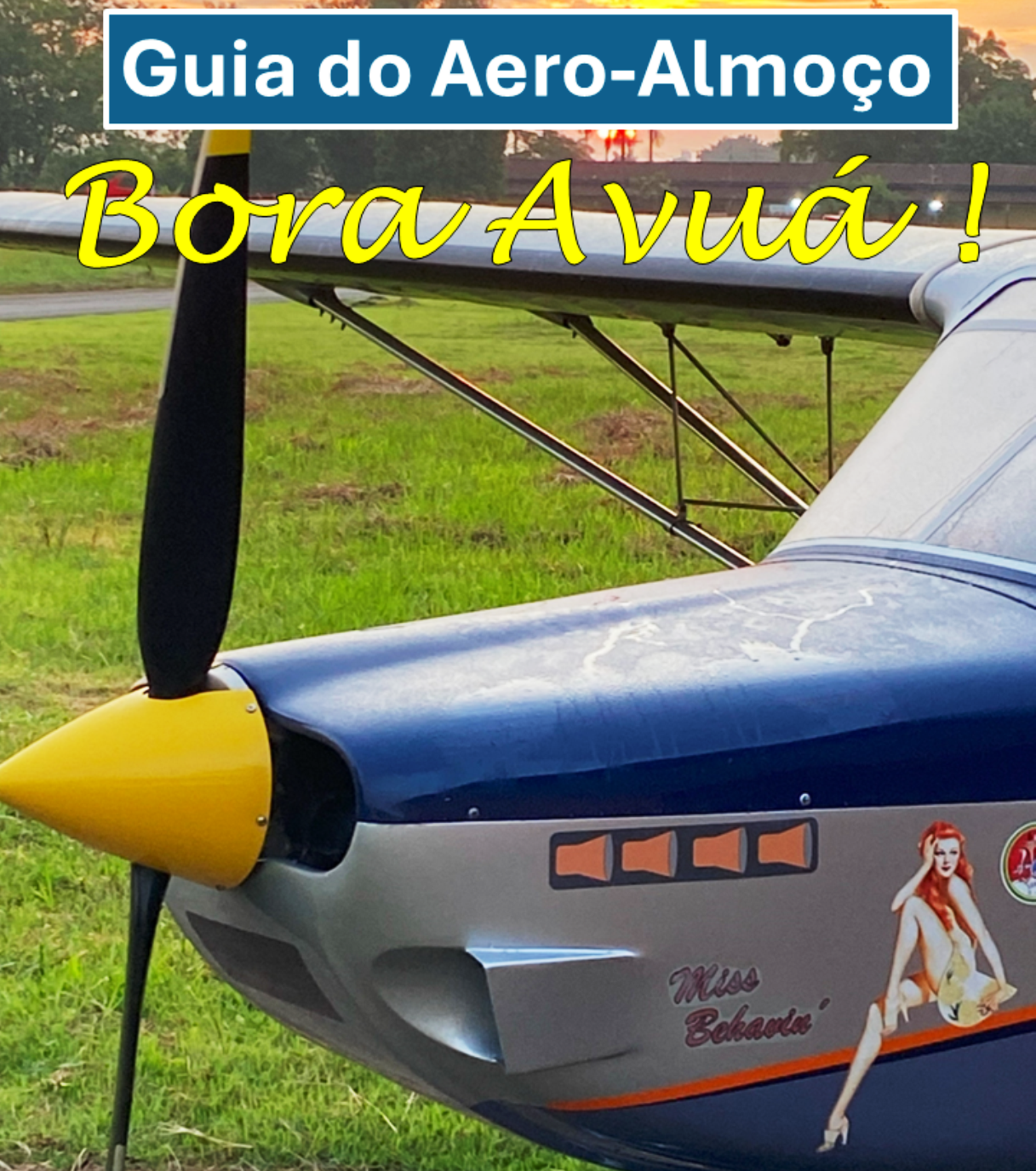 Guia do Aero Almoço Bora Avuá_Imagem Bora Avuá