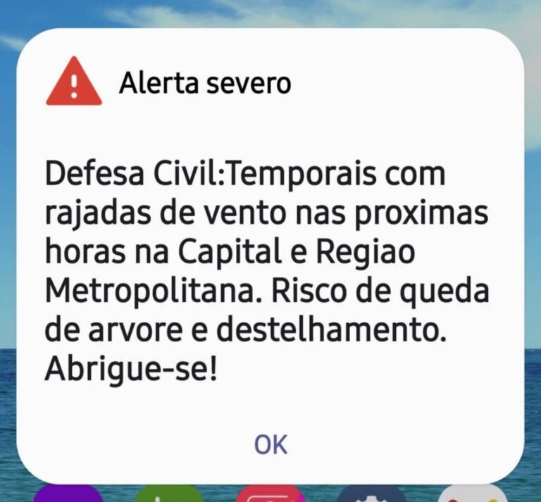 Fortes Chuvas e Ventos causam cancelamentos e transtornos aos passageiros no Aeroporto de Guarulhos_Imagem Defesa Civil.j