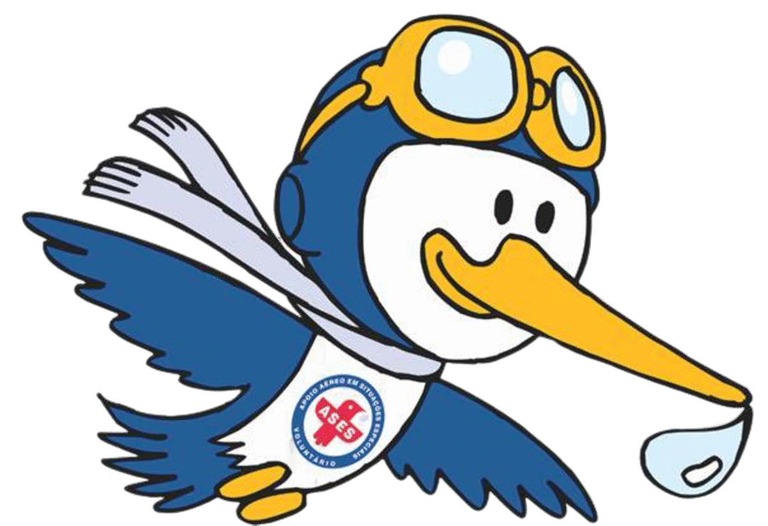 ASES_Apoio Aéreo em Situações Especiais_Imagem ASES
