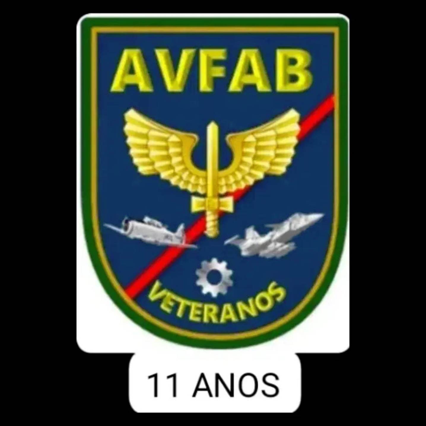 Aniversário de 11 anos da AVFAB celebra legado e união dos veteranos da FAB_Imagem AVFAB