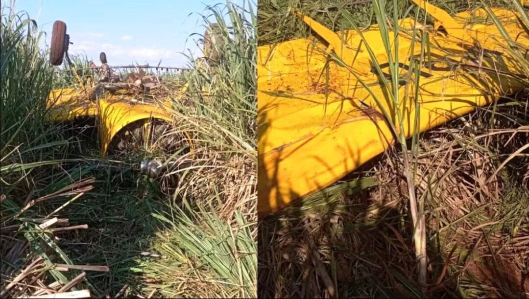 Piloto-Agricola-morre-em-operacao-de-pulverizacao-em-Jau_Imagem-Internet