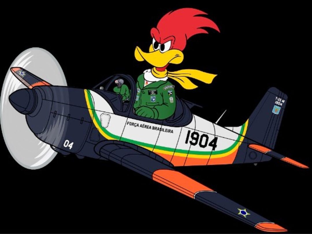 50-anos-do-2o-EIA-o-esquadrao-que-marcou-geracoes-na-AFA_Imagem-maclaudiogomes-e-fabricio_rezendes