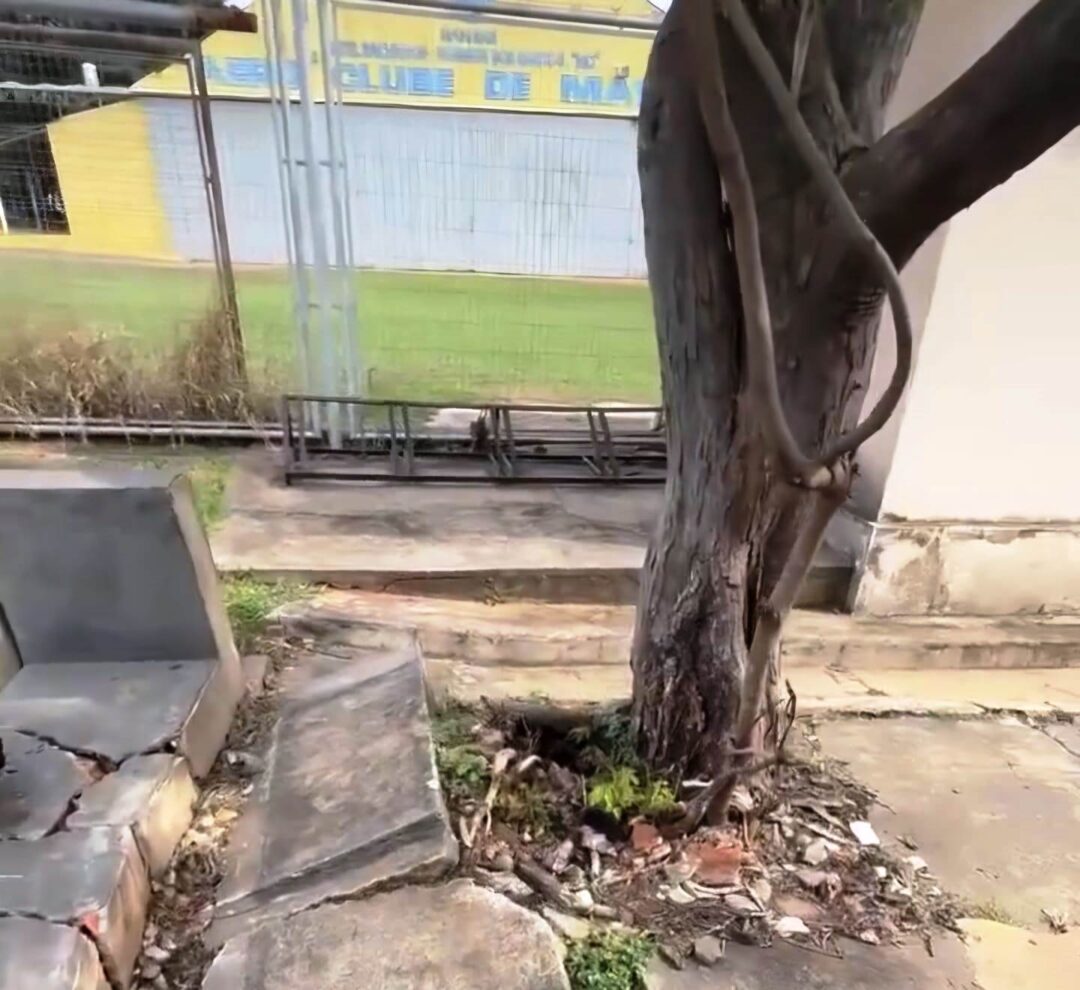 Aeroporto de Marília em total abandono segundo imagens divulgadas_Imagem Cmte Jolando2