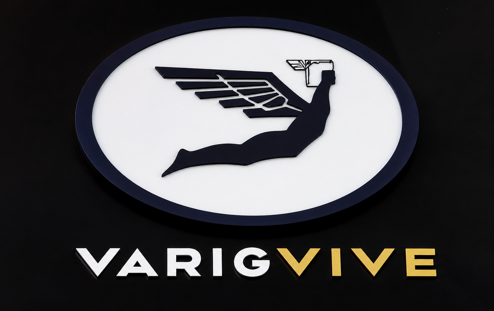 Projeto Varig Vive_Imagem Divulgação