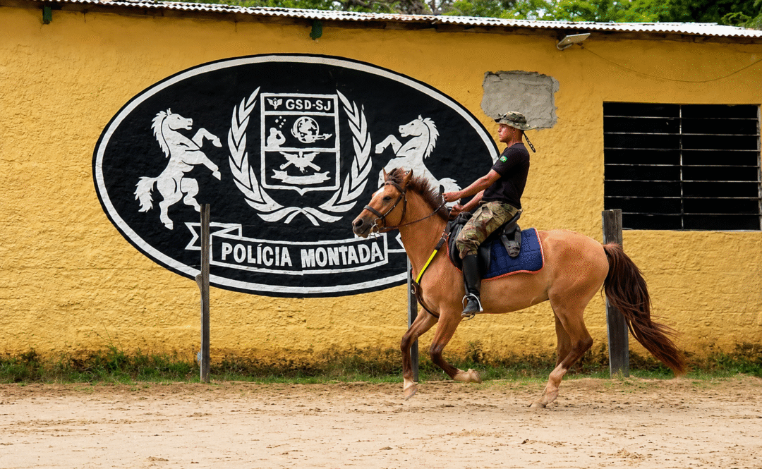 Cavalaria 10 de Maio da Força Aérea Brasileira_Foto 10 de Maio 2