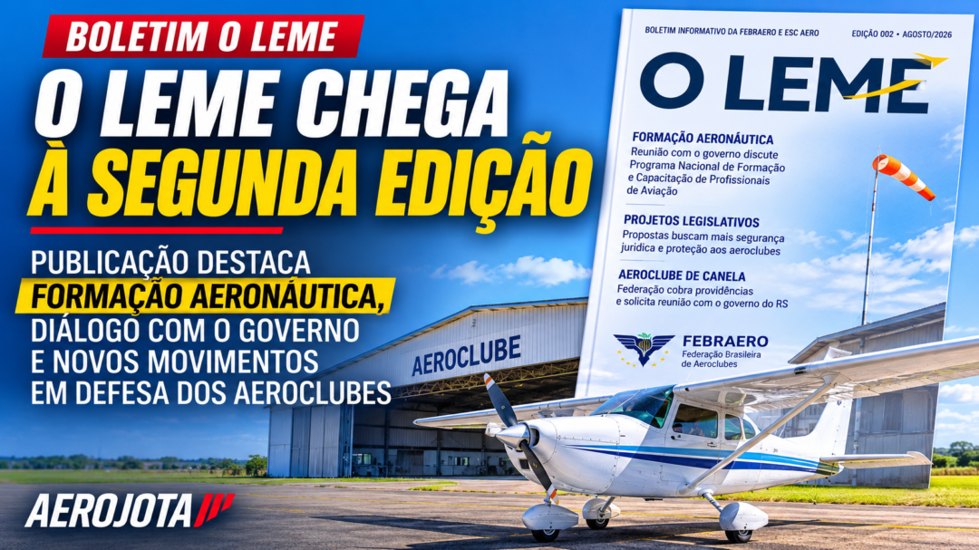 nformativo Febraero O LEME_Imagem Ilustrativa 2