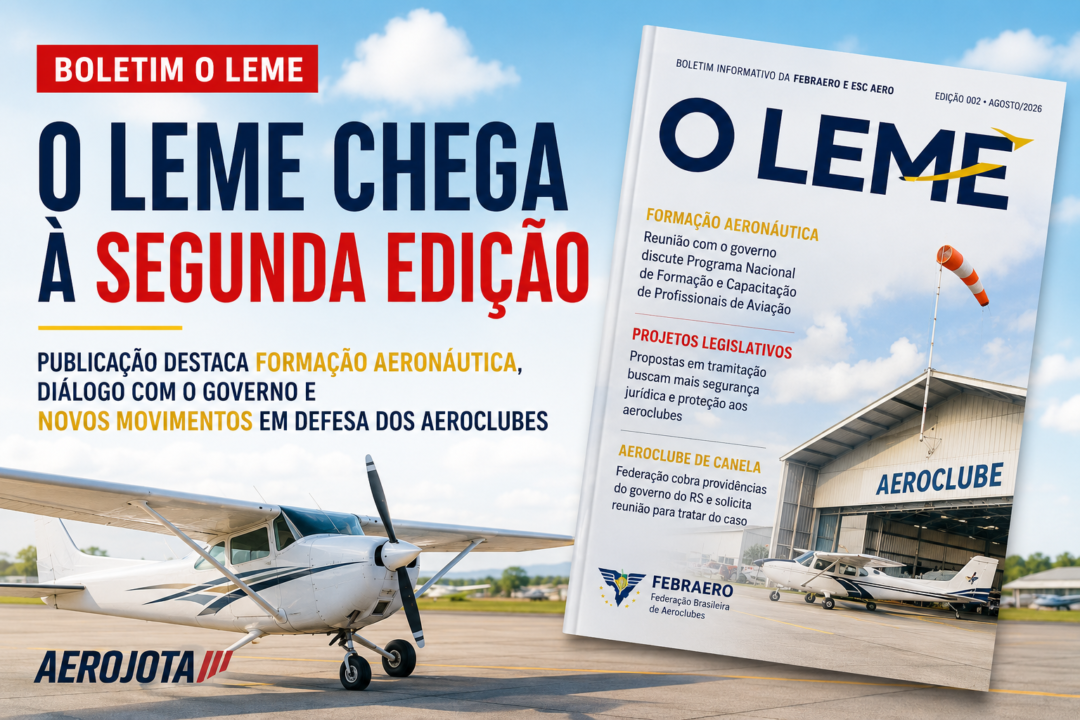 Informativo Febraero O LEME_Imagem Ilustrativa 3