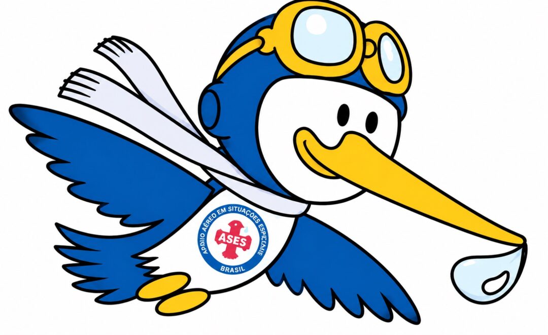 ASES-Brasil-leva-medicamento-e-paciente-em-missao-aerea-2